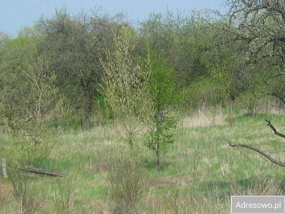 Działka rolna Chwałowice. Zdjęcie 2