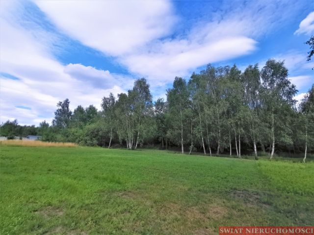 Działka budowlana Pęgów. Zdjęcie 1