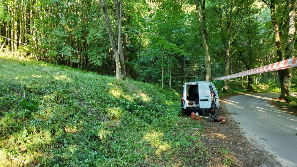 Działka budowlana Świerkocin. Zdjęcie 5