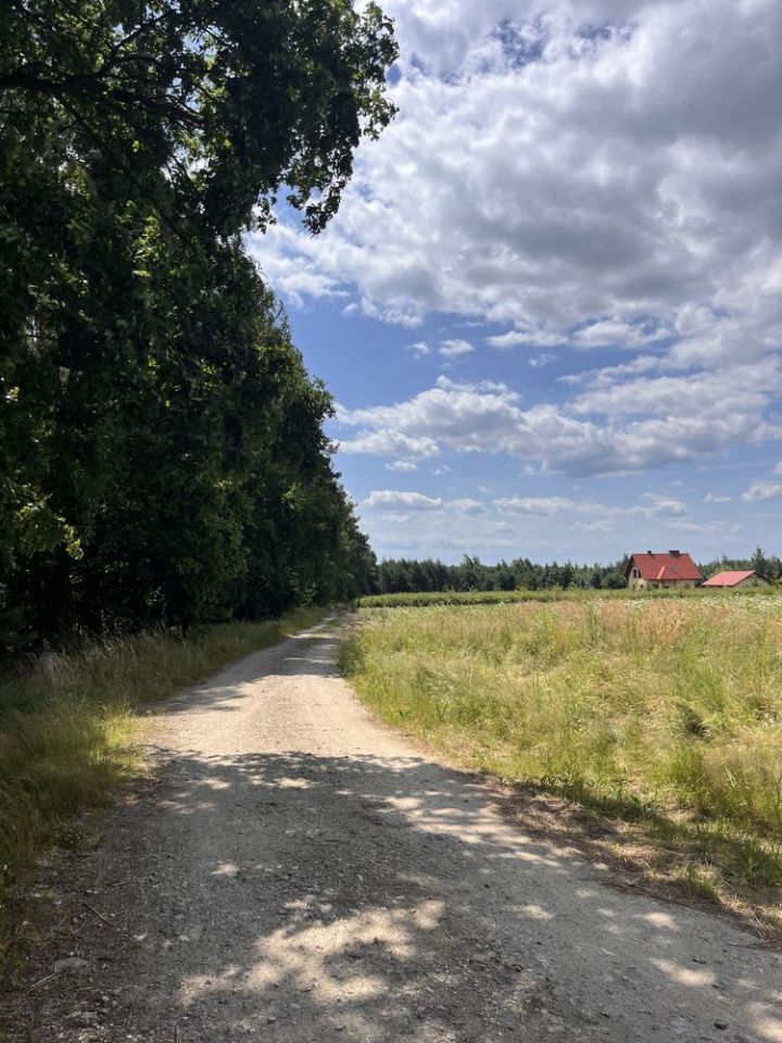 Działka rolna Pęgów, ul. Na Polance. Zdjęcie 7