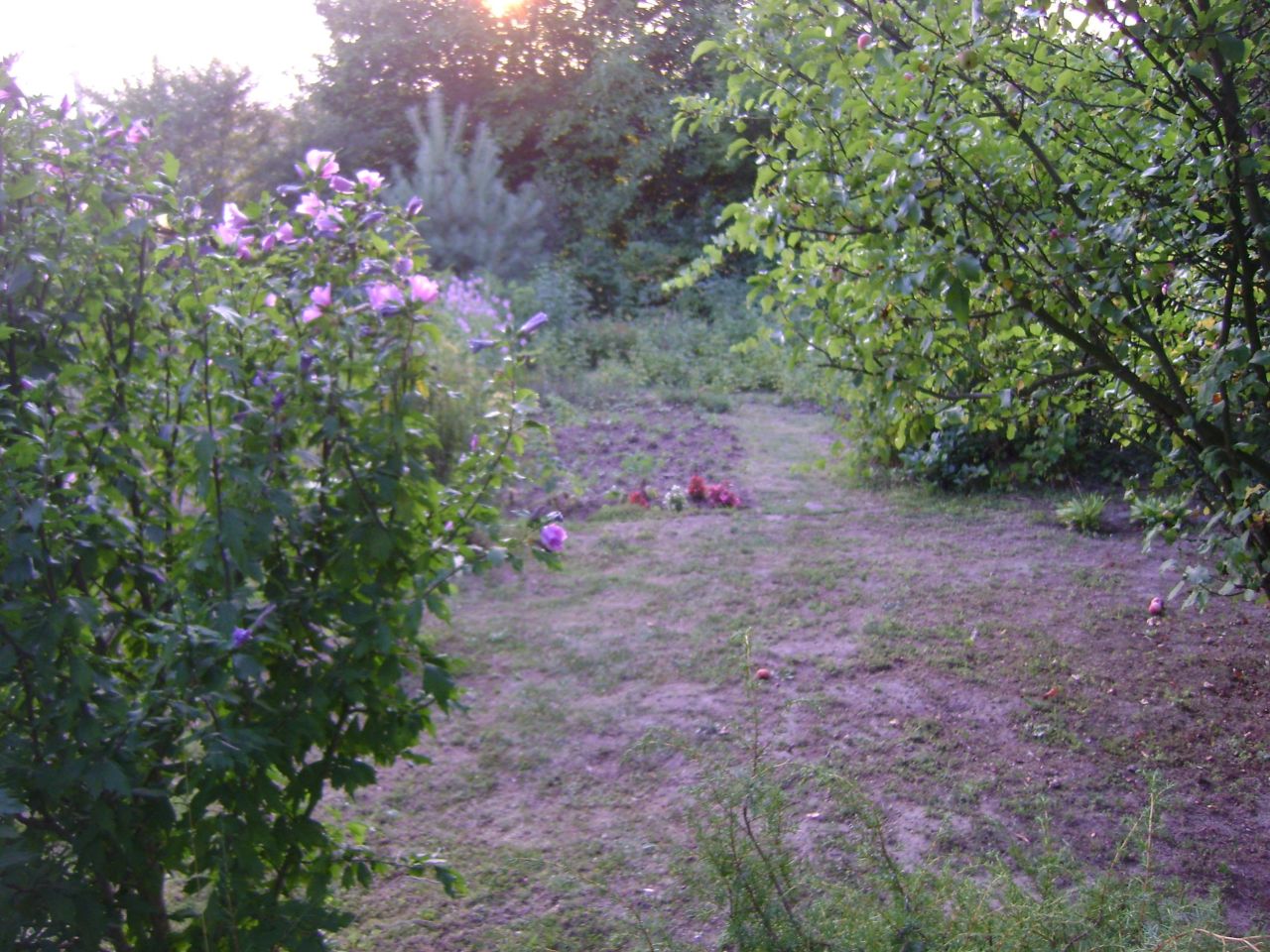 Działka rod Lublin Szerokie, ul. Nałęczowska. Zdjęcie 15