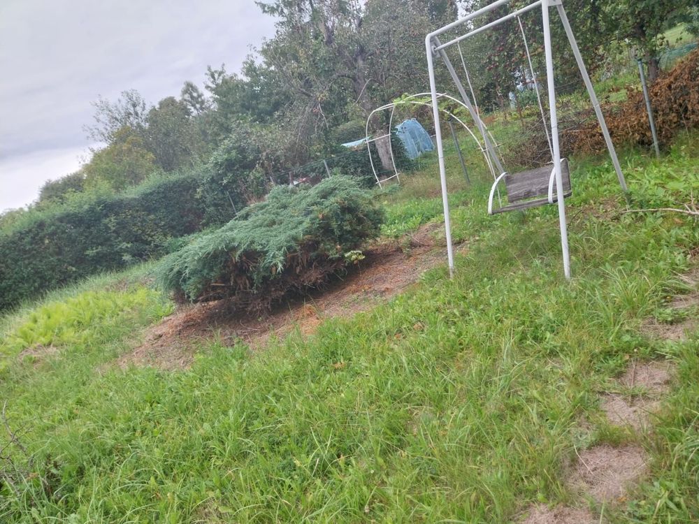 Działka rod Zabrze, ul. Ogrodowa. Zdjęcie 3