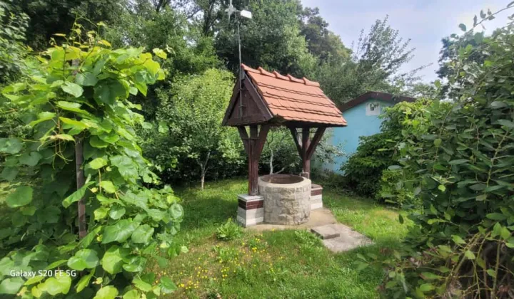 Działka rod Żary, ul. Pszenna