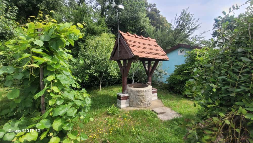 Działka rod Żary, ul. Pszenna