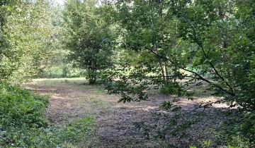 Działka rekreacyjna Mirowice, ul. Sarenki