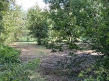 Działka rekreacyjna Mirowice, ul. Sarenki. Zdjęcie 1