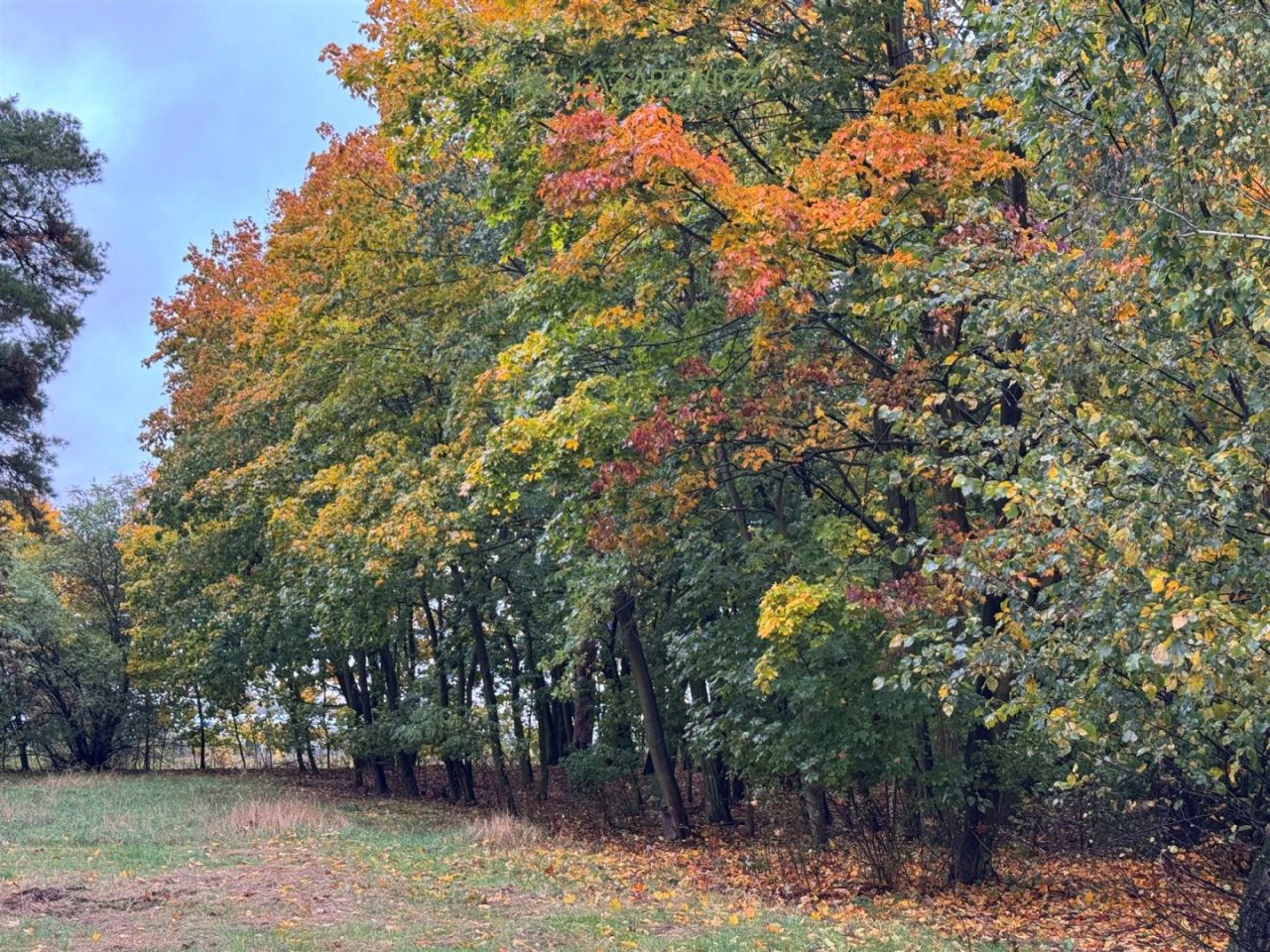 dworek, 7 pokoi Janów. Zdjęcie 23