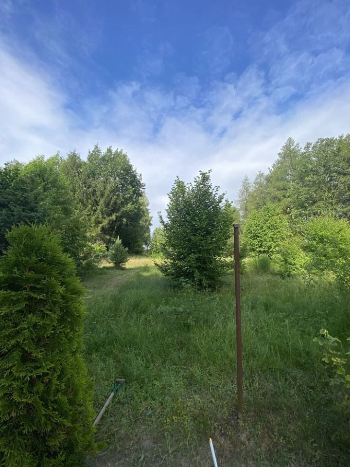 Działka rekreacyjna Choceń. Zdjęcie 5