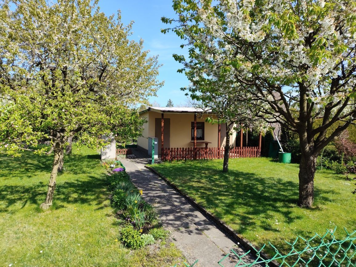 Działka rod Gliwice Szobiszowice. Zdjęcie 6