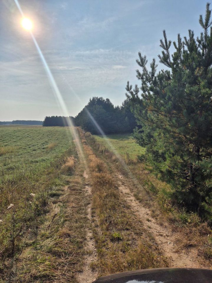 Działka Chwarzno. Zdjęcie 6