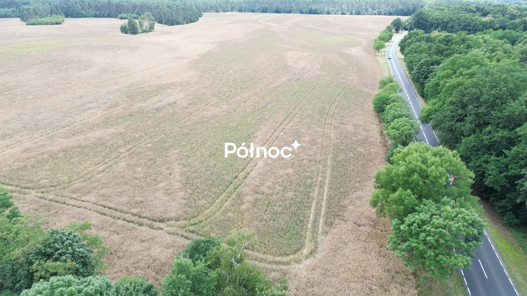 Działka inwestycyjna Dąbrowa Bolesławiecka. Zdjęcie 10