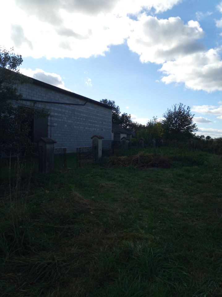 Hala/magazyn Suchodoły. Zdjęcie 8