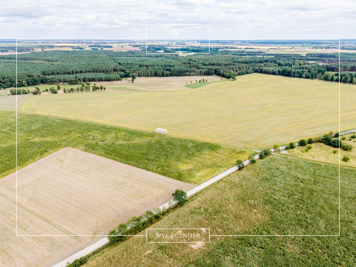 Działka budowlana Niechłód. Zdjęcie 3