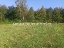 Działka rolna Ługwałd. Zdjęcie 4