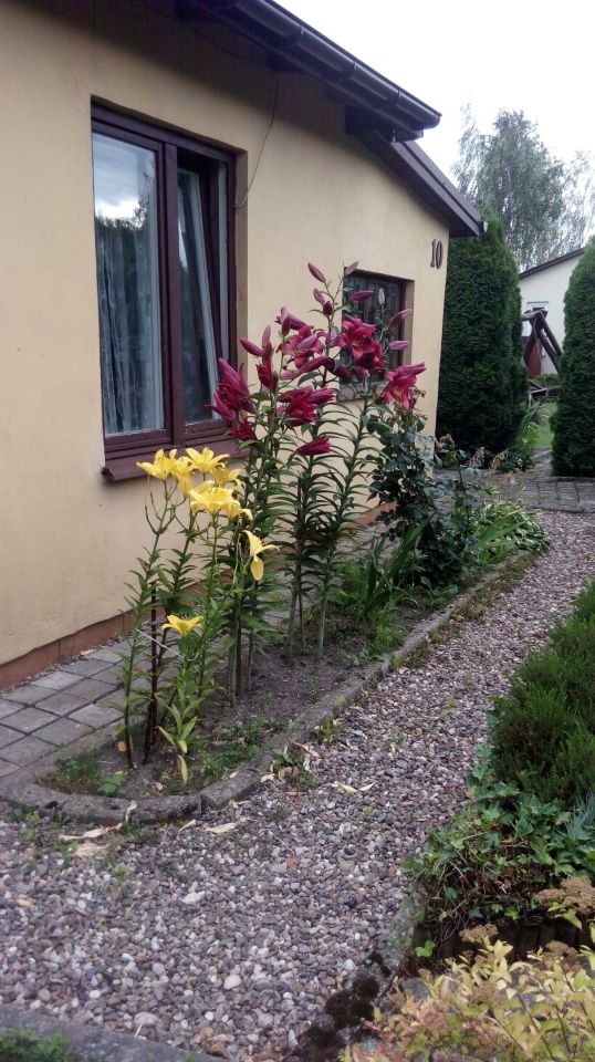 Działka rod Piotrków Trybunalski, ul. Wronia. Zdjęcie 6