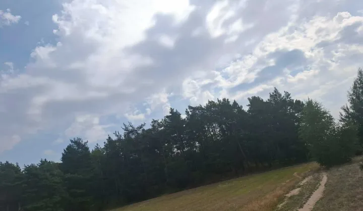 Działka budowlana Dryja