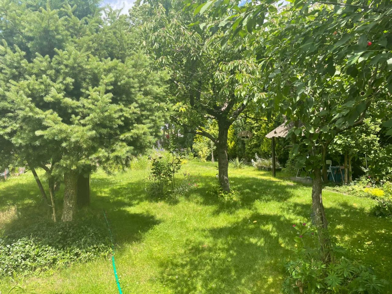 bliźniak Dębno, ul. Józefa Mireckiego. Zdjęcie 7