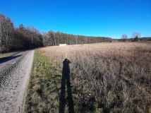 Działka budowlana Sieciejów. Zdjęcie 1