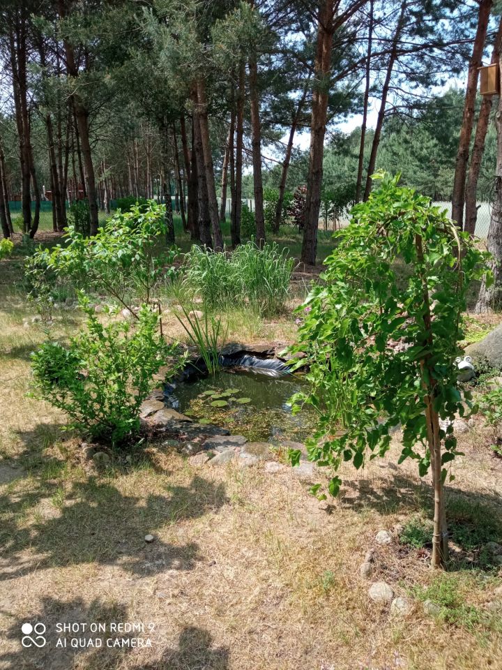 Działka rekreacyjna Grodzisk