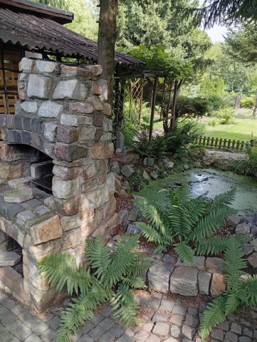 Działka rekreacyjna Siemianowice Śląskie Centrum, ul. Brzozowa. Zdjęcie 1