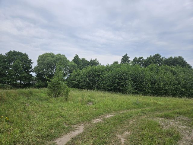 Działka budowlana Brzuze. Zdjęcie 9