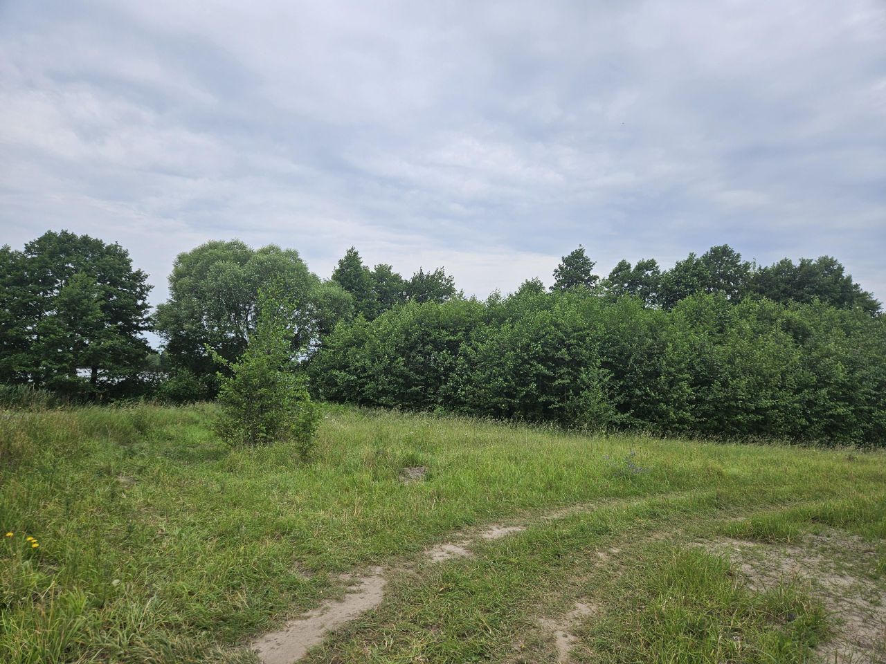 Działka budowlana Brzuze. Zdjęcie 9