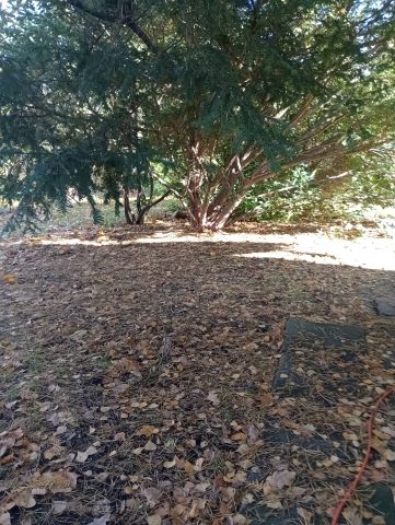 Działka budowlana Piaseczno Centrum, ul. Adama Mickiewicza. Zdjęcie 1