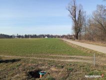 Działka budowlana Strusin. Zdjęcie 3