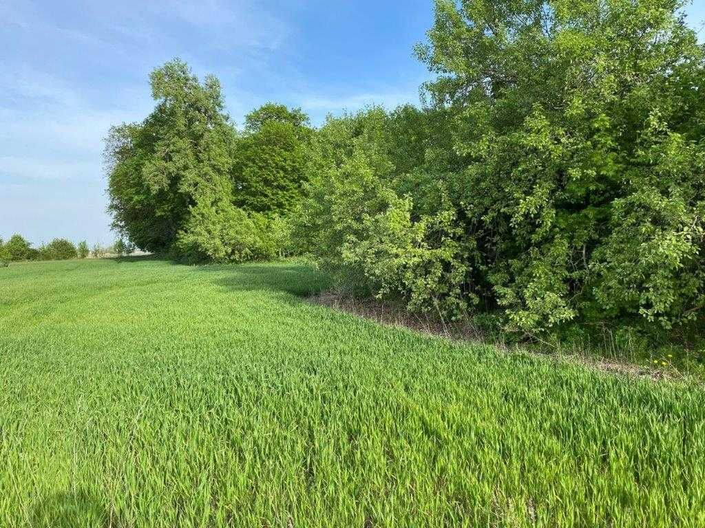 Działka siedliskowa Rucewo. Zdjęcie 2