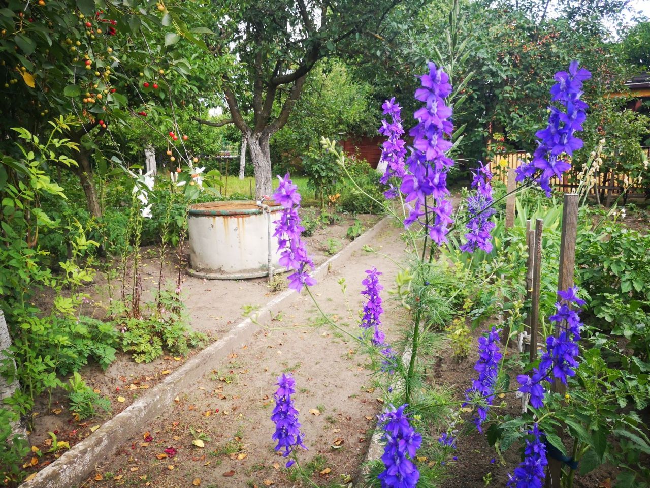 Działka rod Szczecin Świerczewo, ul. Tenisowa. Zdjęcie 8