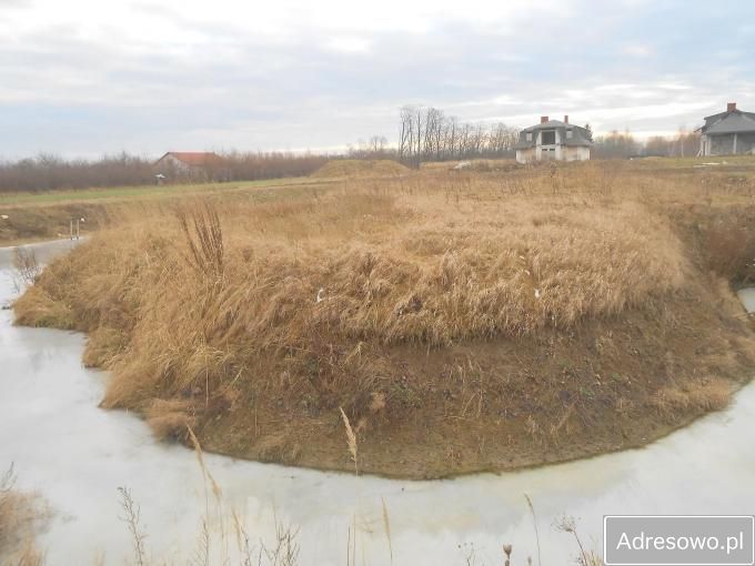 Działka rolna Żaby. Zdjęcie 6