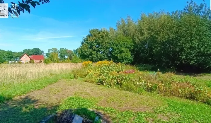 Działka siedliskowa Parlino