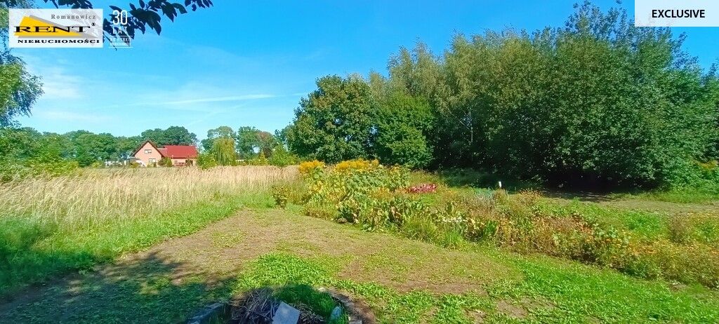 Działka siedliskowa Parlino