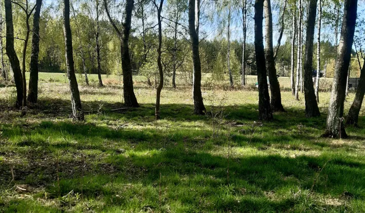 Działka budowlana Bukowiec, ul. Bukowa