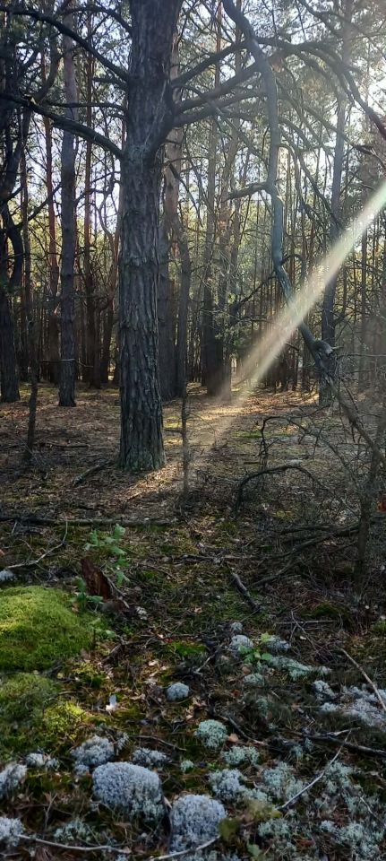 Działka budowlana Popowo-Letnisko, ul. Słoneczna. Zdjęcie 2