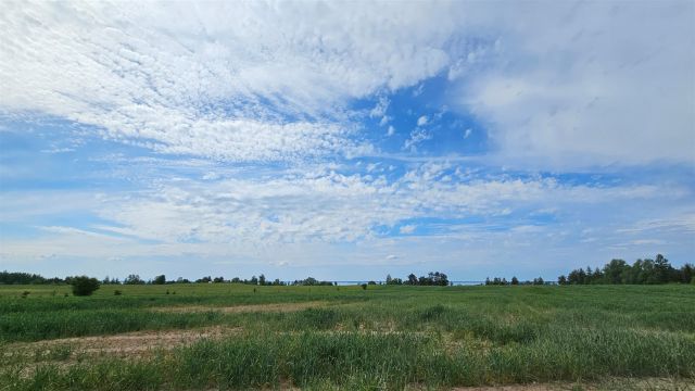 Działka rolna Dziubiele. Zdjęcie 12