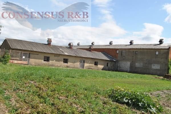 Hala/magazyn Prudnik. Zdjęcie 5