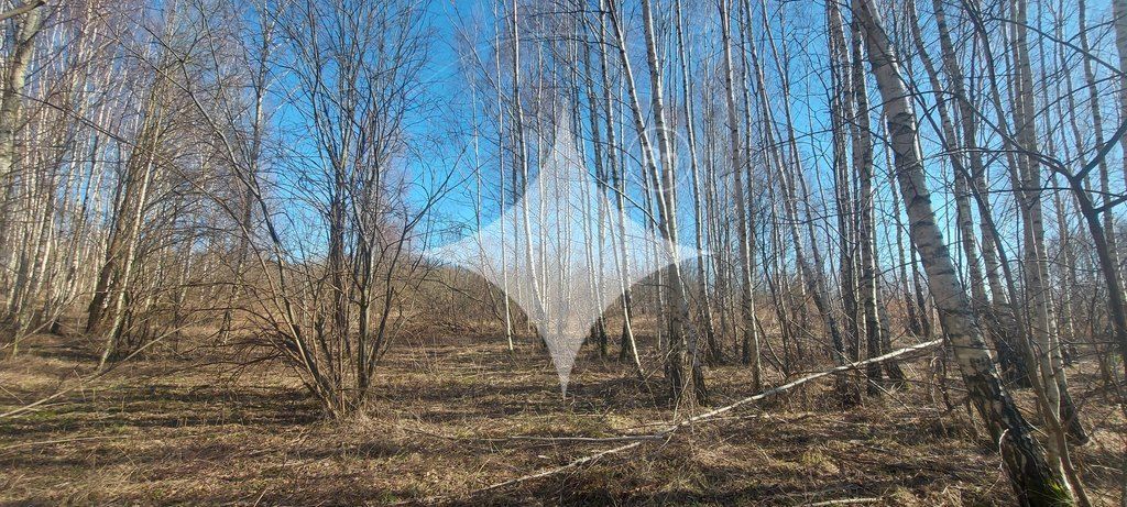 Działka budowlana Różnowo. Zdjęcie 8