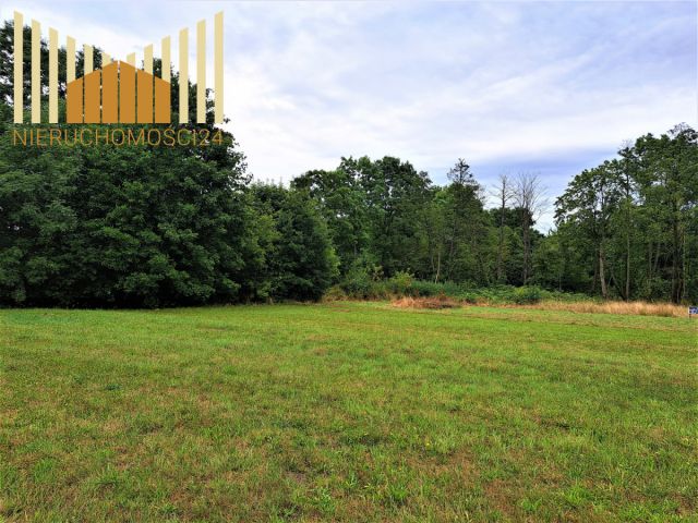 Działka rolna Mrozy. Zdjęcie 4