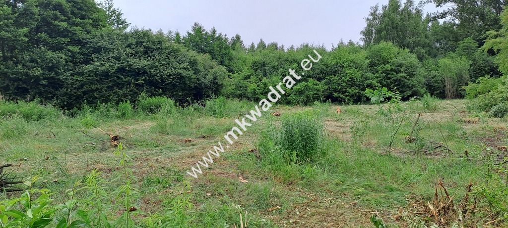 Działka budowlana Stara Wieś, ul. Olchowa. Zdjęcie 12