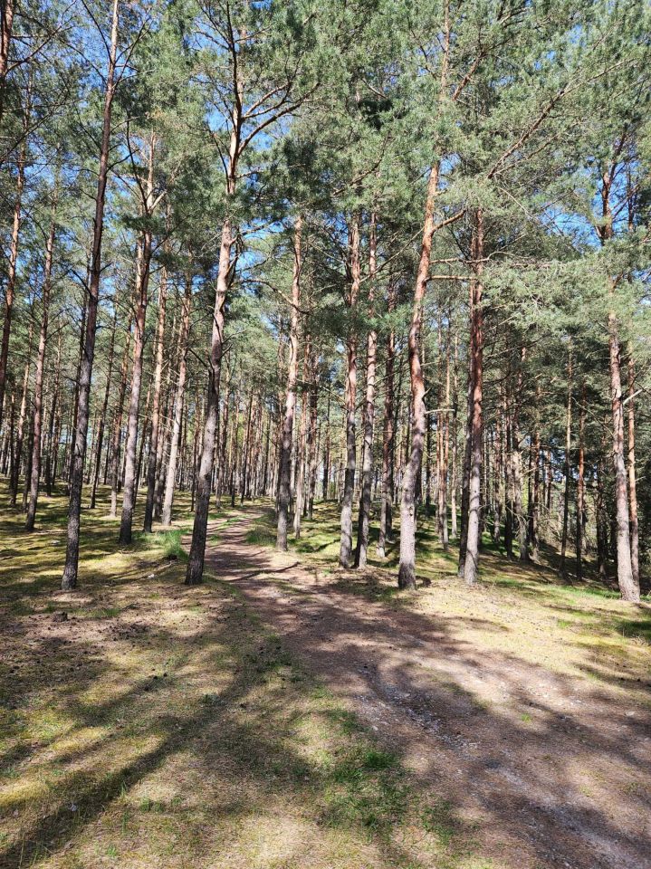 Działka rolna Swornegacie. Zdjęcie 5