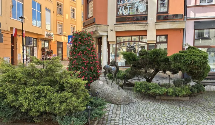 Mieszkanie 2-pokojowe Jelenia Góra Centrum, ul. 1 Maja