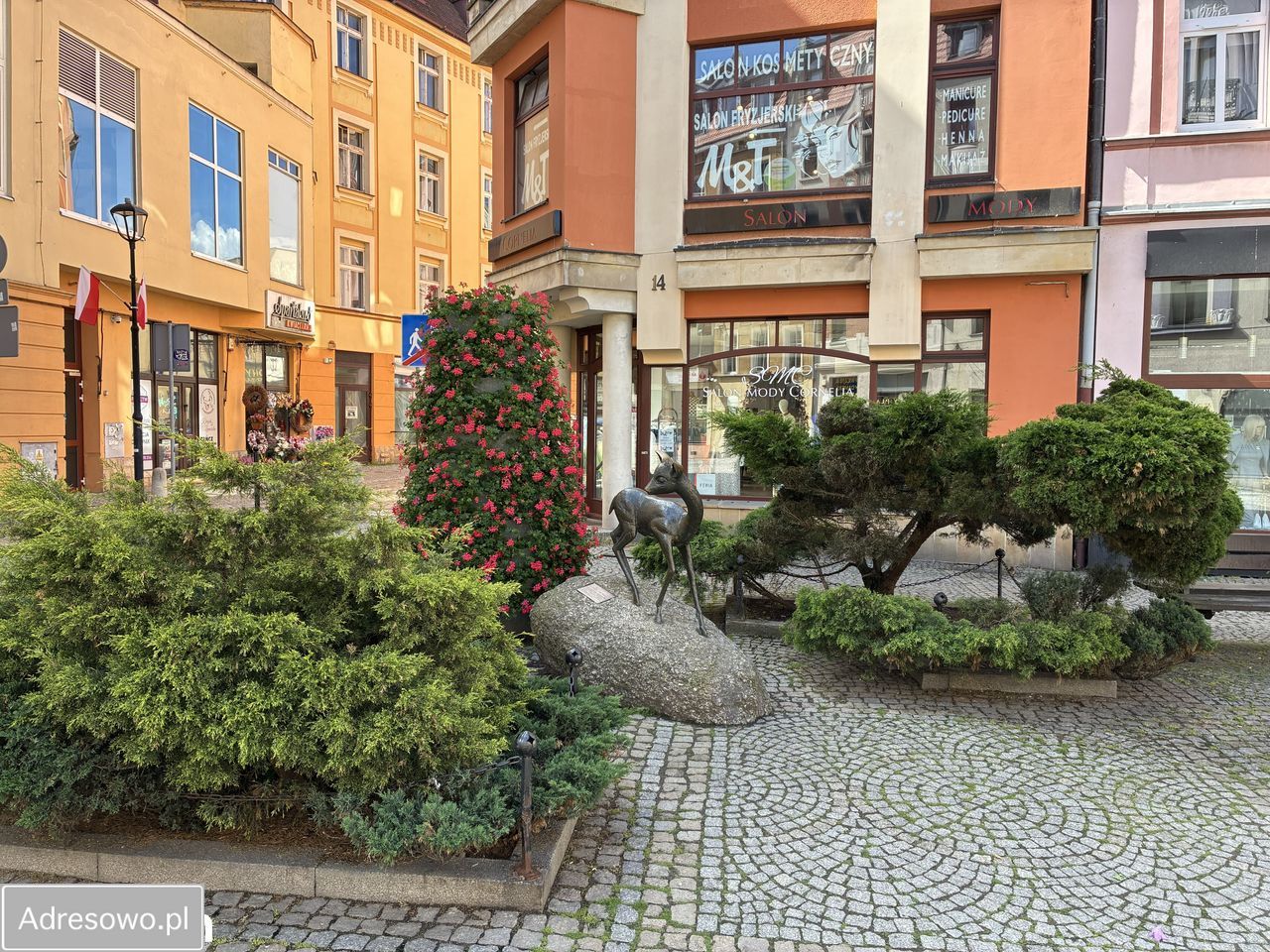 Mieszkanie 2-pokojowe Jelenia Góra Centrum, ul. 1 Maja. Zdjęcie 1