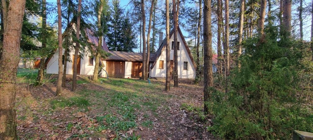 Działka rekreacyjna Rozpłucie Drugie. Zdjęcie 3