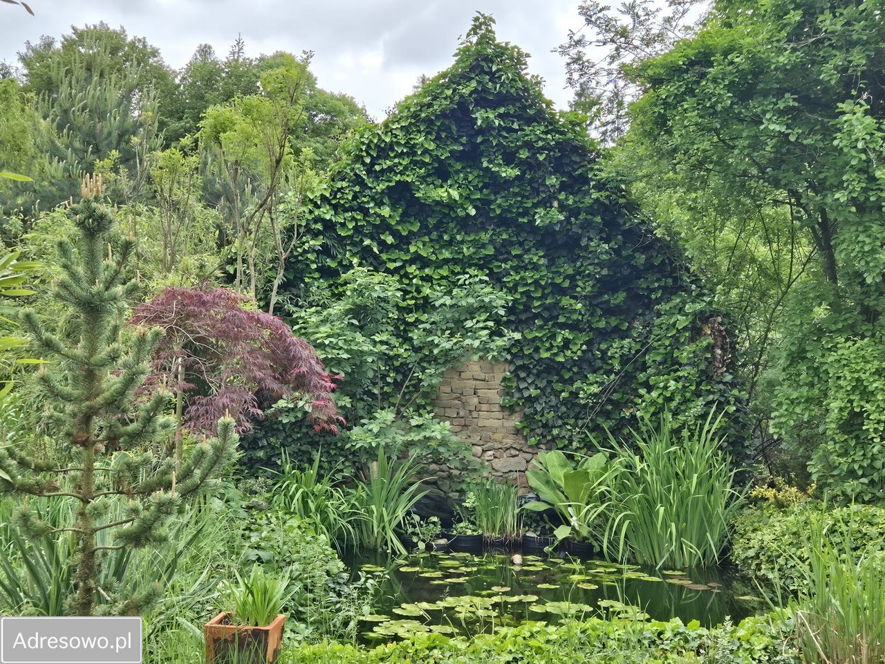 dom wolnostojący, 3 pokoje Poćwiardówka. Zdjęcie 9