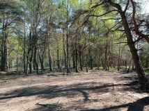 Działka budowlana Rościęcino, ul. Handlowa. Zdjęcie 2