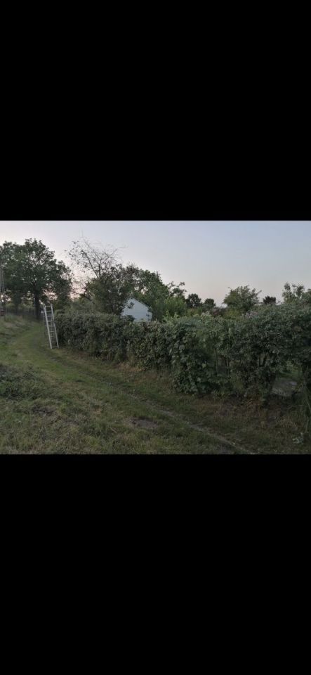 Działka rod Kępno, ul. Długa. Zdjęcie 3