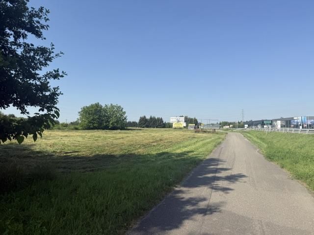 Działka inwestycyjna Mikołajowice. Zdjęcie 6