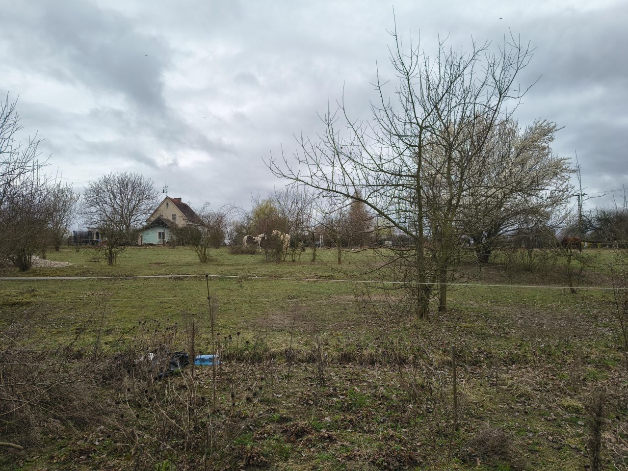 dom wolnostojący, 4 pokoje Popęszyce. Zdjęcie 13