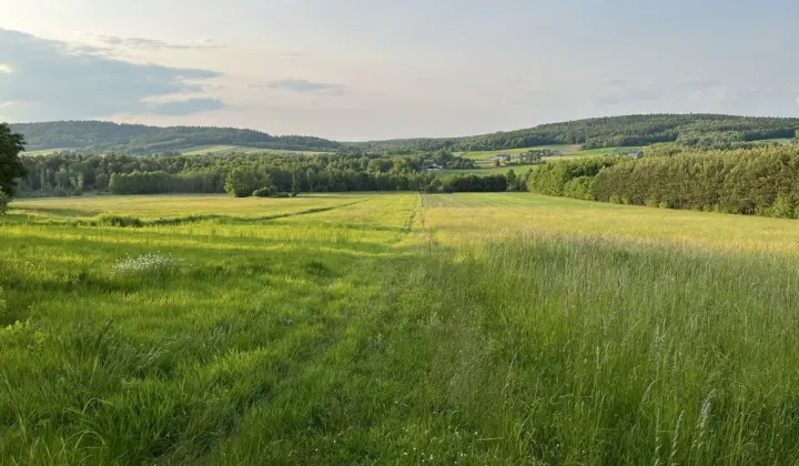 Działka rolno-budowlana Ociesęki